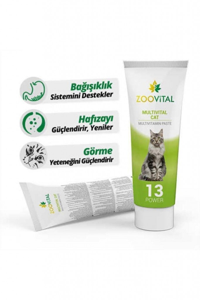 Multivital Multivitamin Kedi Macunu 100 gr Multivital Multivitamin Kedi Macunu 100 gr