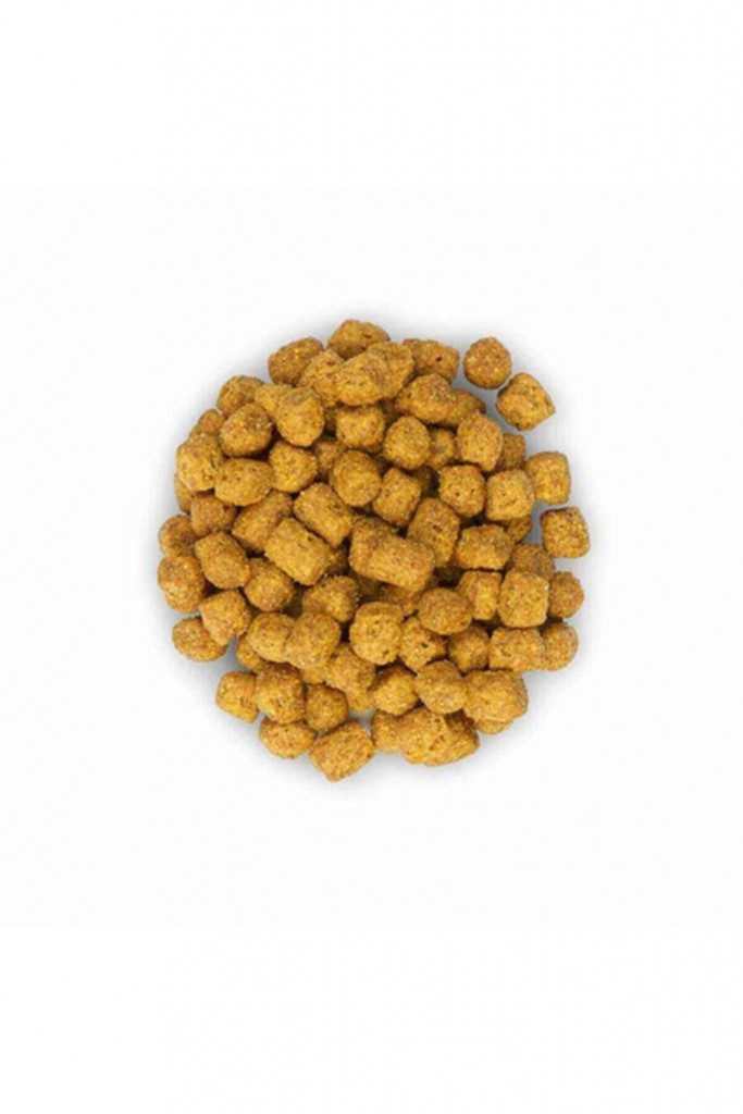 Tavuklu Genç Yetişkin Kısır Kedi Maması 10 Kg Tavuklu Genç Yetişkin Kısır Kedi Maması 10 Kg